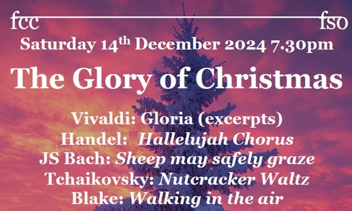 Thumbnail poster for concert on Saturday December 14 2024